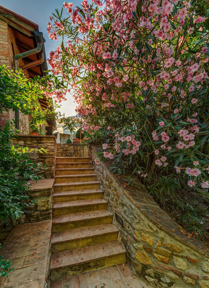 Agriturismo Casanova Di Pescille Сан Джиминяно Екстериор снимка